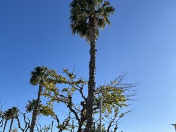 124-24-12-2025 IMG_3289